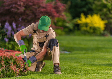 Jardinier à Sprimont : Entretien et aménagement à Louveigné, Rouvreux, Dolembreux, Gomzé-Andoumont…