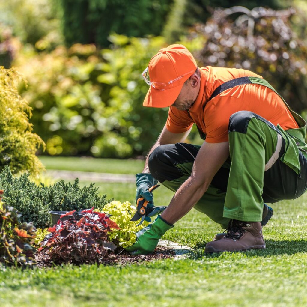 Jardinier qui entretien un parterre